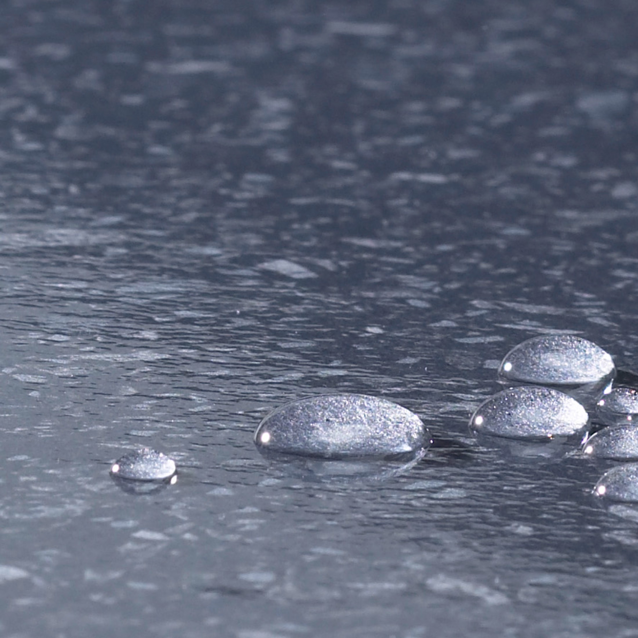 dakor-head1@2x dakor-head1@2x